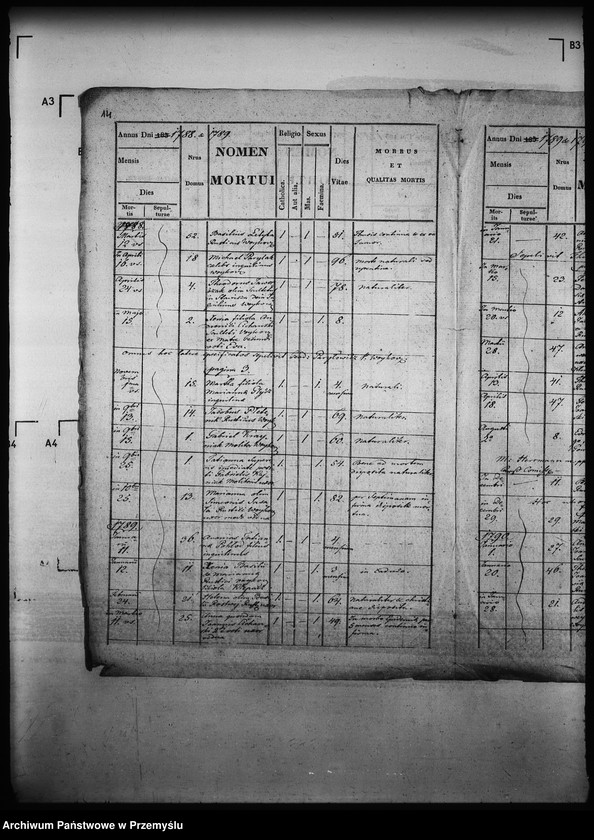 image.from.unit.number "[Kopie ksiąg metrykalnych parafii Wojkowa (dekanat Muszyna)]"