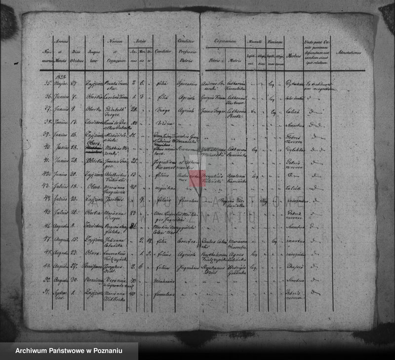 image.from.unit.number "Liber mortuorum"