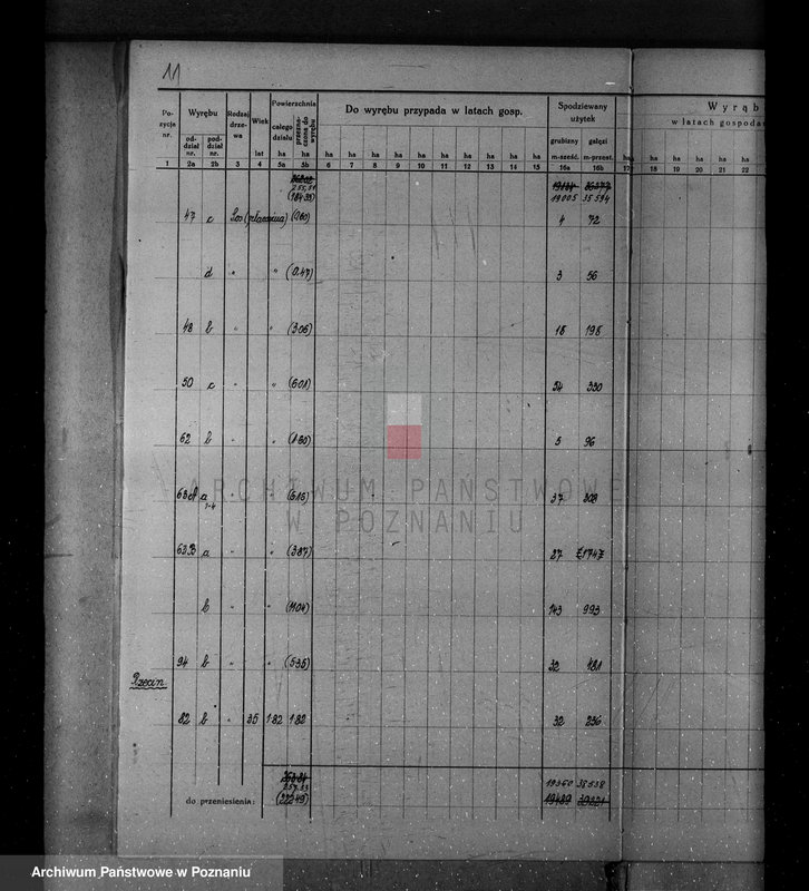 Obraz 17 z jednostki "/Nadzór nad gospodarką leśną w majątku Krucz-Goraj w powiecie czarnkowskim Nadleśnictwo Goraj/"