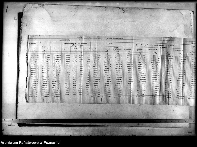Obraz 20 z jednostki "Wykazy statystyczne, materiał i różne dane"
