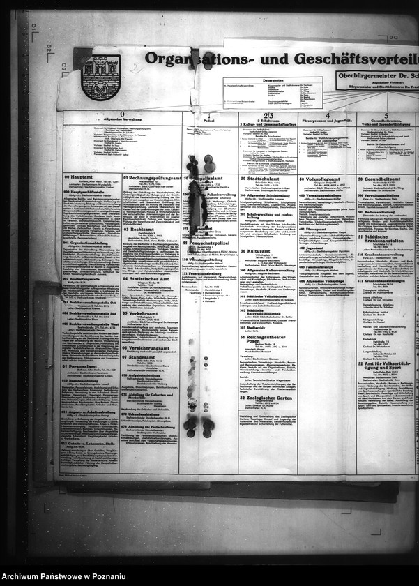 Obraz 8 z jednostki "Organisations - Plan der Stadtverwaltung Posen"