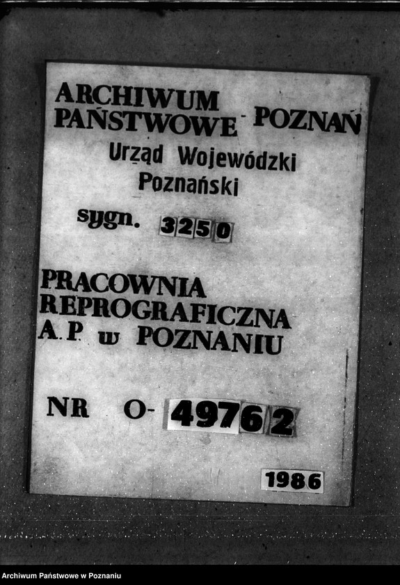 Obraz 1 z jednostki "Majętność leśna Godurowo w powiecie gostyńskim"