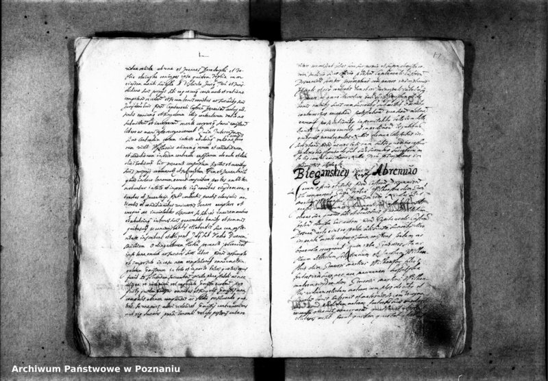 Obraz 20 z jednostki "Inscriptiones [inducta]"