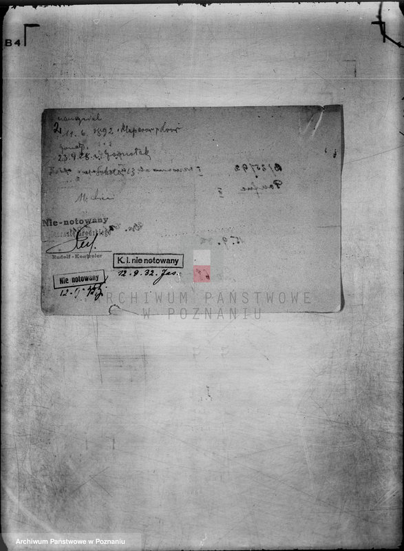 Obraz 6 z jednostki "Towarzystwo Hodowców Gołębi Pocztowych,,Lot Pocztowy" w Wągrowcu"