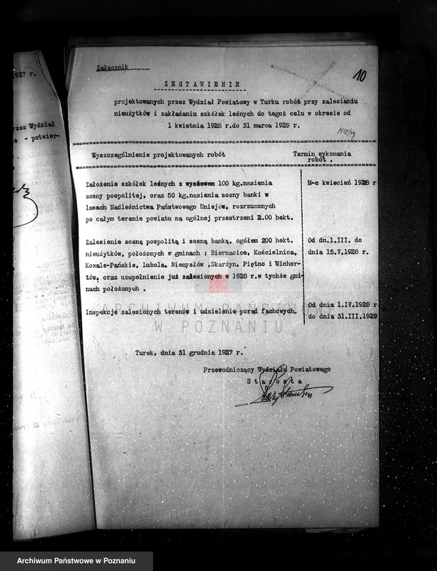 Obraz 14 z jednostki "Zalesienie nieużytków powiatu tureckiego"