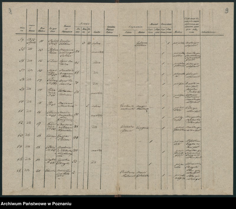 Obraz 7 z jednostki "Księga zgonów"