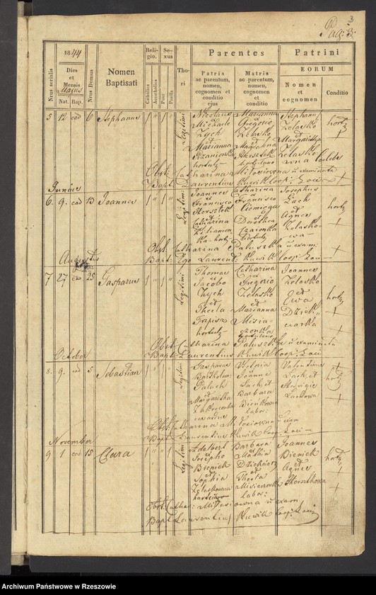 image.from.unit.number "Księga urodzeń dla miejscowości Wola Pławska"