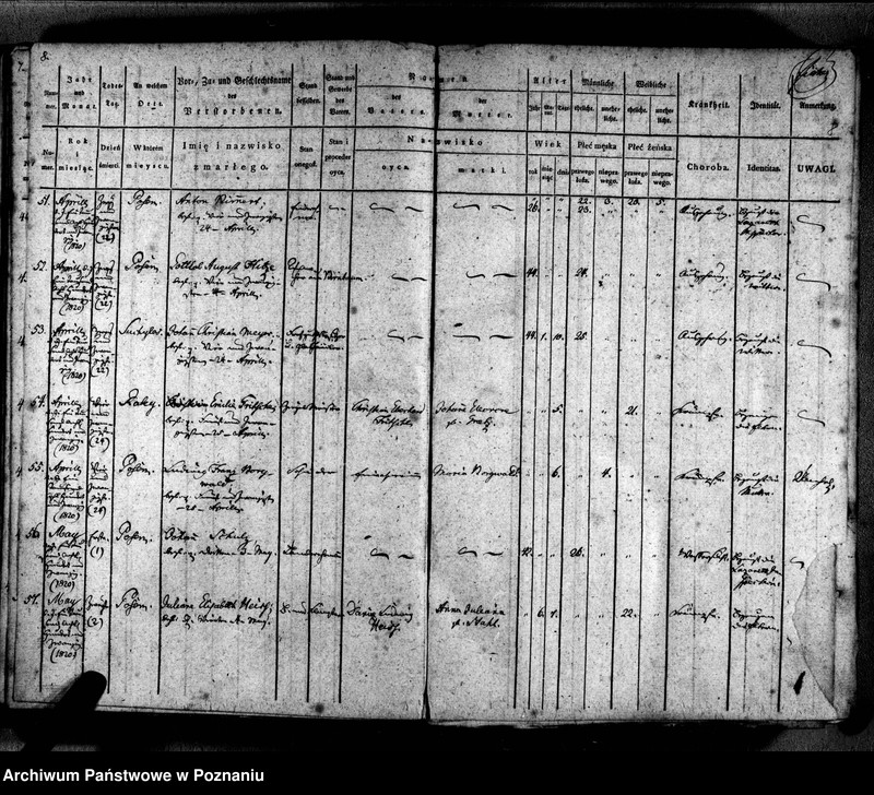 Obraz 11 z jednostki "Sterbenbuch"