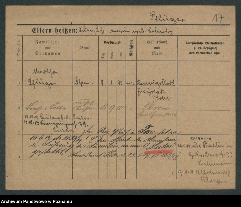 Obraz 19 z jednostki "Pflieger - Piasecki"