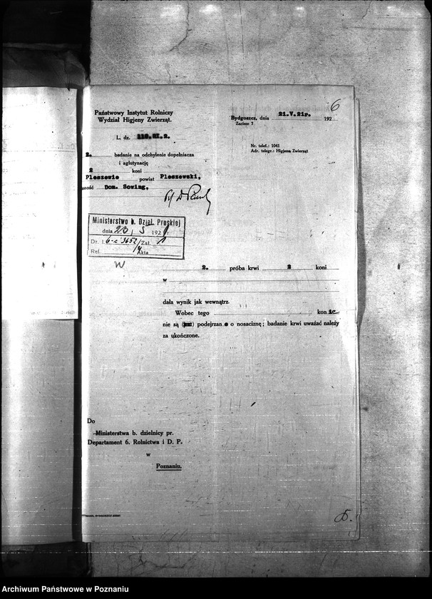 Obraz 10 z jednostki "Nosacizna - Pleszew"