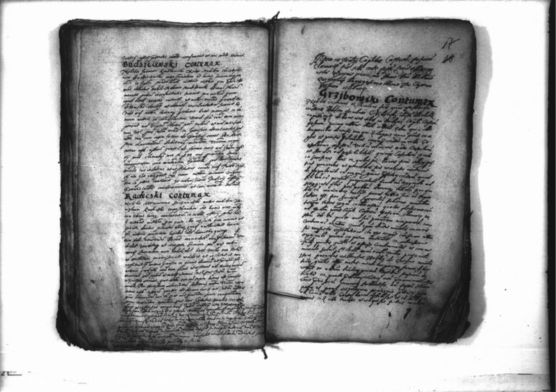 Obraz 19 z jednostki "Decreta iudicii [inducta]"