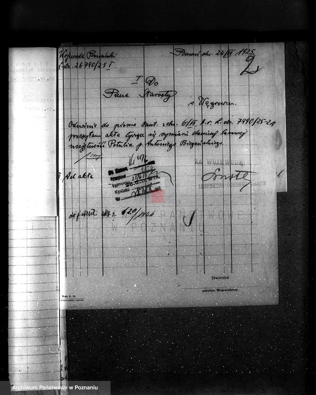 Obraz 6 z jednostki "Majętność leśna Potulice powiat wągrowiecki"