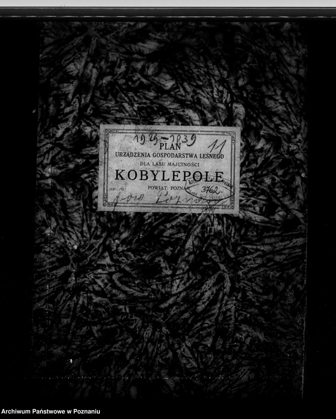 Obraz 4 z jednostki "Program urządzenia gospodarstwa leśnego dla lasu majętności Kobylepole powiat poznański 1929-1939"