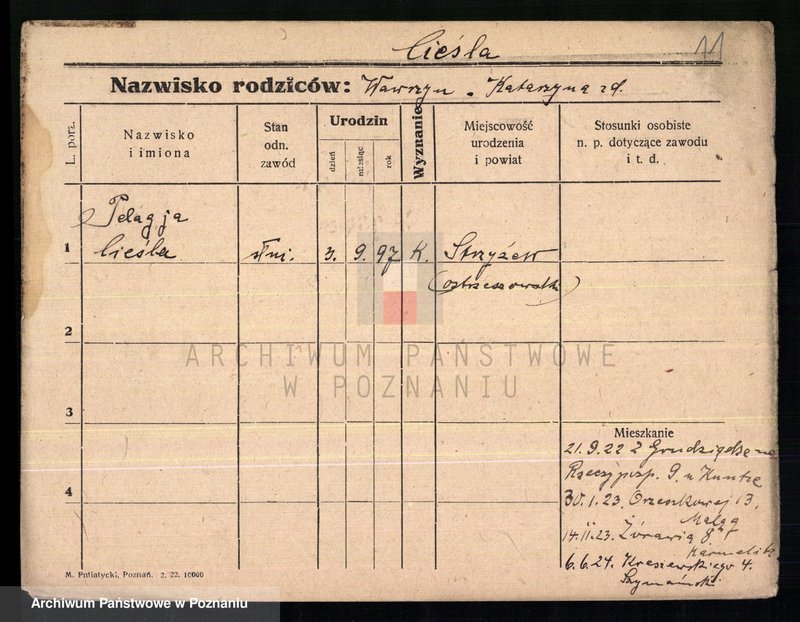 Obraz 13 z jednostki "Cieśla - Cieszyna"