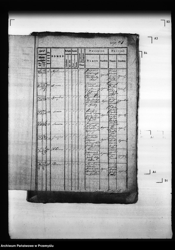 Obraz 6 z jednostki "[Kopie ksiąg metrykalnych parafii Hruszów z filiami Budomierz, Kłonice, Szczepłoty (dekanat Niemirów)]"
