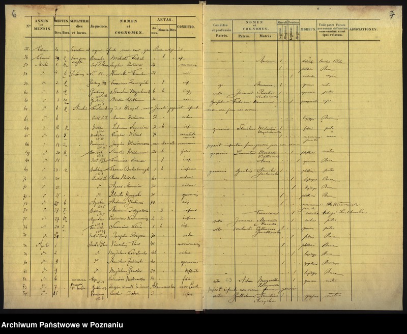 Obraz 6 z jednostki "Księga zgonów"