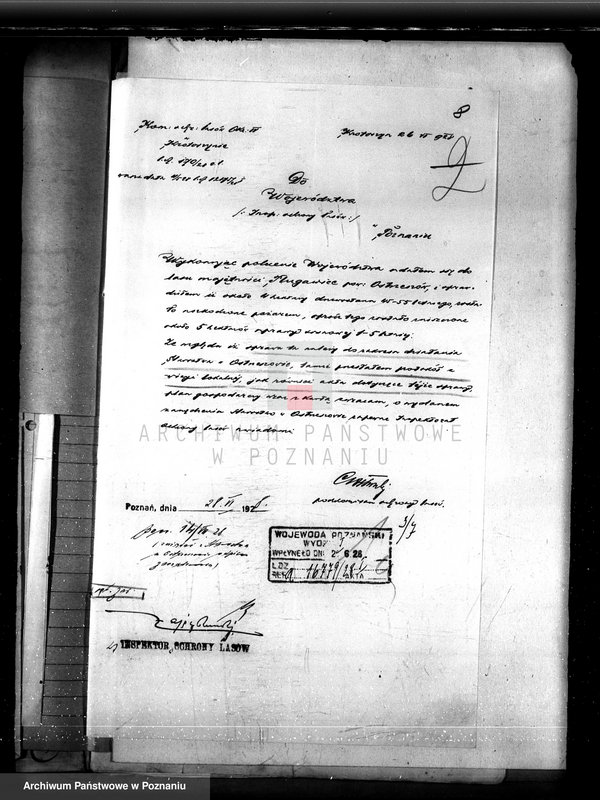 Obraz 12 z jednostki "Nadzór nad gospodarką w lasach majętności Plugawice powiat kępiński"