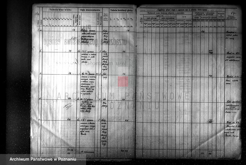 Obraz 20 z jednostki "Plan urządzenia gospodarstwa leśnego dla lasu majętności Lusówko powiat poznański 1930-1940"