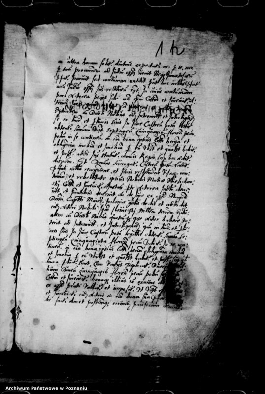 Obraz 17 z jednostki "Inscriptiones, relationes, decreta iudicii et officii [inducta]"