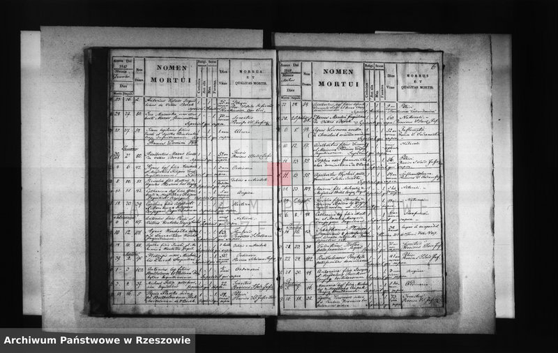 image.from.unit.number "Księga zgonów - Borek Stary"