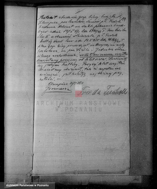 Obraz 15 z jednostki "Nadzór nad lasami/ majątku Klempicz powiatu czarnkowskiego"