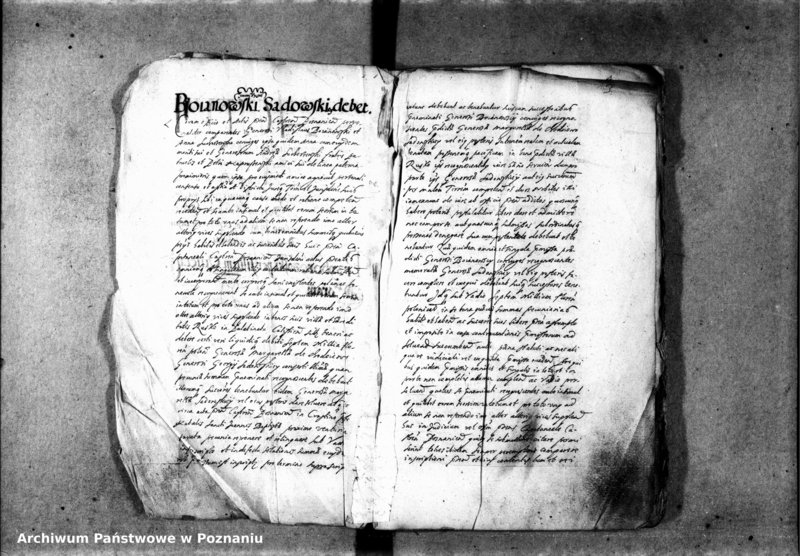 Obraz 5 z jednostki "Inscriptiones [inducta]"