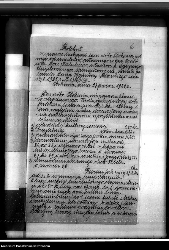 Obraz 10 z jednostki "Sprawa o niedostateczne zalesienie lasu 16,24 ha w majątku Tłokinia"