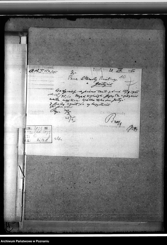 Obraz 14 z jednostki "Majętność leśna Łąka Wielka"