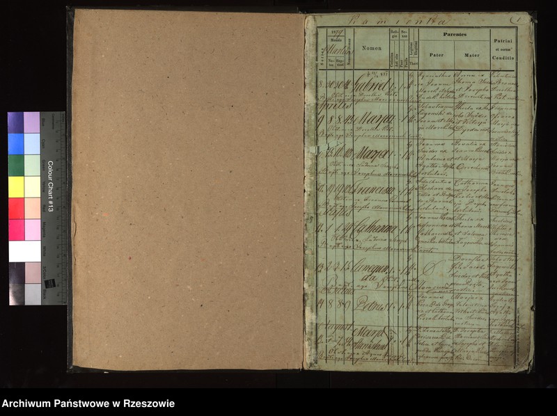 image.from.unit "Księga urodzeń - Kamionka"