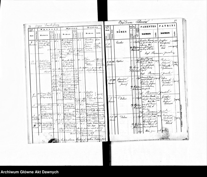 image.from.unit.number "Parafia: Zborów. Dekanat: Złoczów. Księga metrykalna urodzeń, ślubów i zgonów dla miasta Zborów i wsi: Cecowa, Grabkowce, Jarczowce, Jarosławice, Jezierzanka, Kabarowce, Kudobińce, Kudynowce, Ławrykowce, Meteniów, Młynowce, Podhajczyki, Podrebce, Presowce, Toustogłowy, Urłów, Wołosówka, Wołczkowce, Zarudzie, Żukowce, Pleśniany, Chorobrów, Chrabużna, Chorościec, Korszyłów."