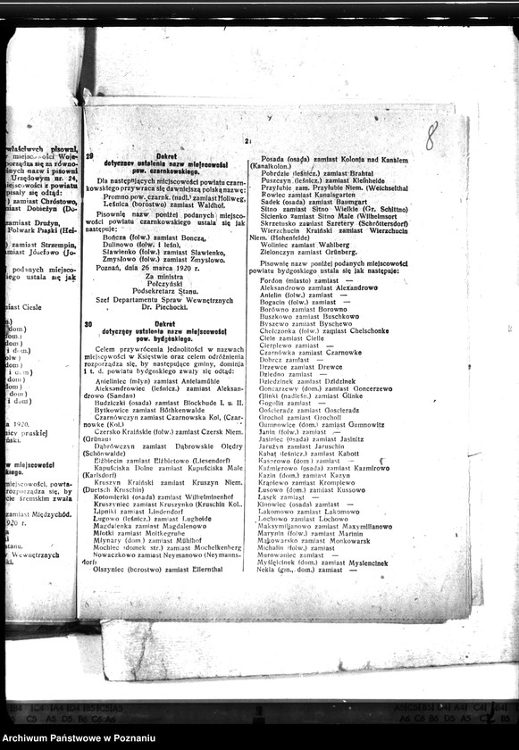 Obraz 12 z jednostki "Zaraza płucna - Gniezno"