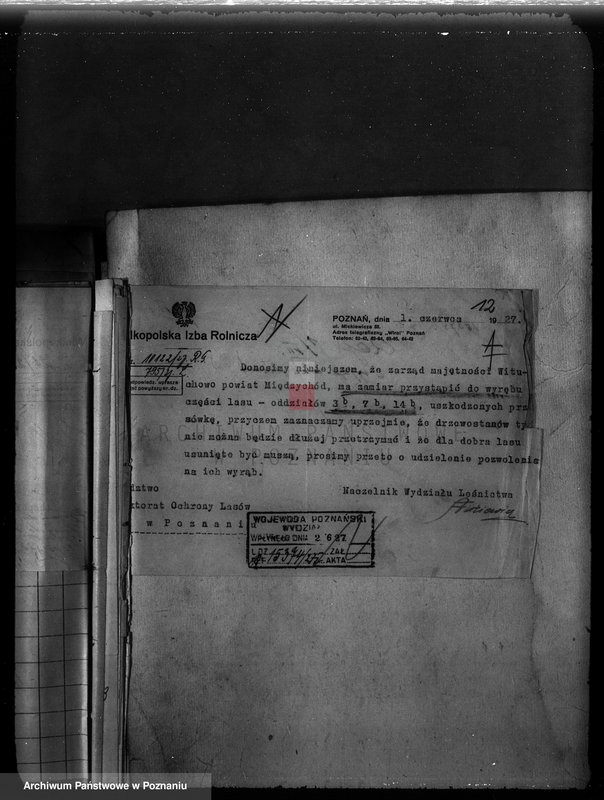 Obraz 14 z jednostki "Majętność Wituchowo w powiecie międzychodzkim"