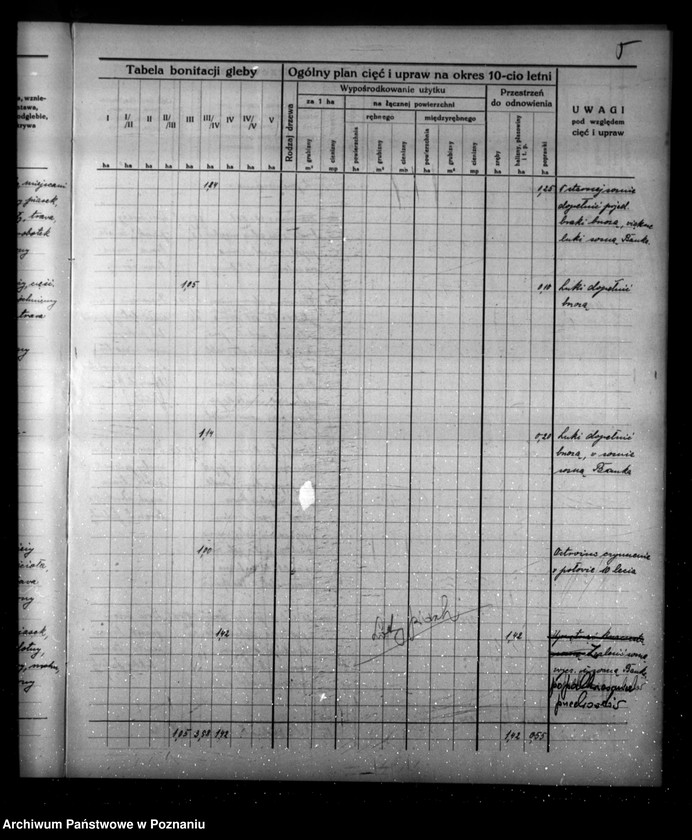Obraz 9 z jednostki "Program urządzenia gospodarstwa leśnego dla lasu majątku Borowy-Młyn w powiecie międzychodzkim/"