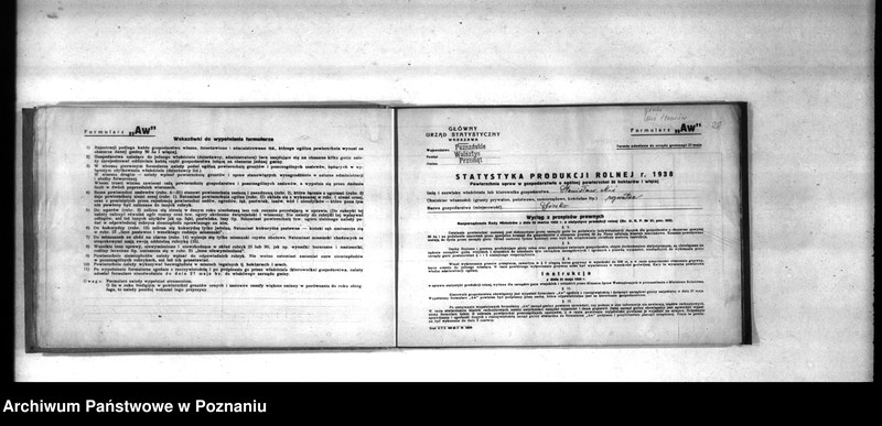 Obraz 19 z jednostki "Polnische Bodenbenutzugserhebung. Kreis Wollsbein (Wolsztyn)"