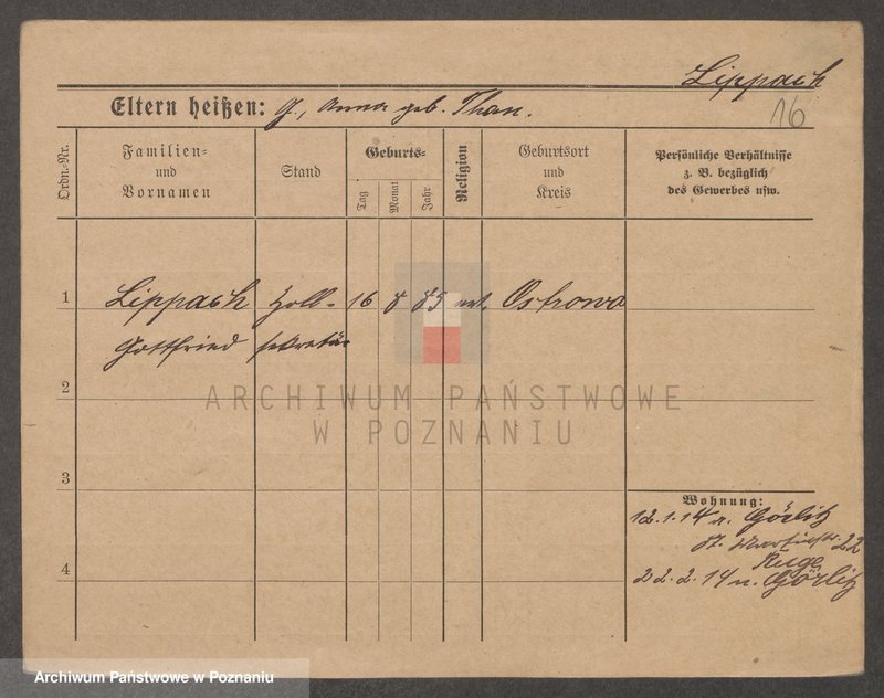 Obraz 16 z jednostki "Lip - Lipinski"