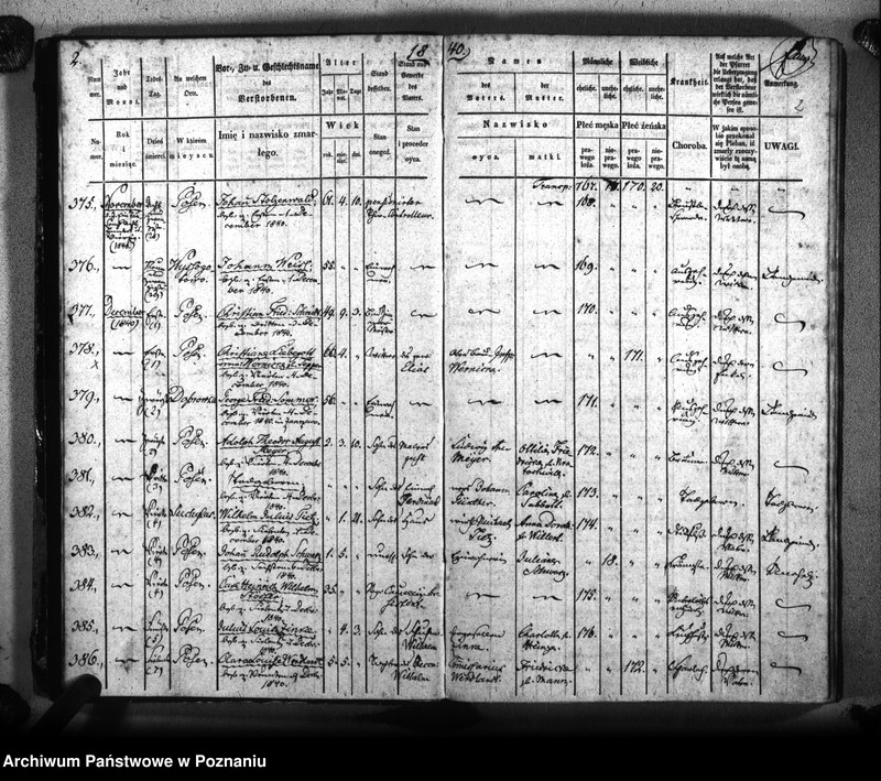 Obraz 5 z jednostki "Sterbenbuch"