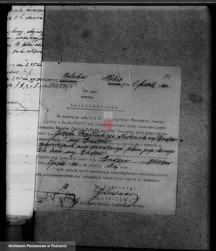 Obraz 19 z jednostki "Lasy majątku Brudzew w powiecie kaliskim"