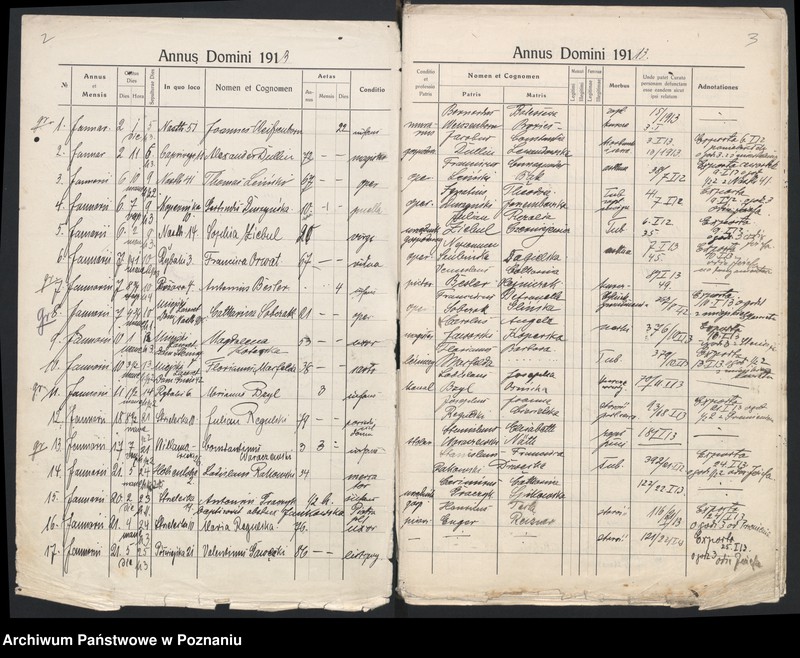 Obraz 4 z jednostki "Indeks zgonów"