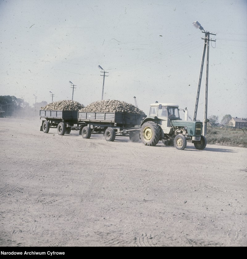Obraz 15 z jednostki "Cukrownia "Michałów" w Lesznie koło Warszawy"