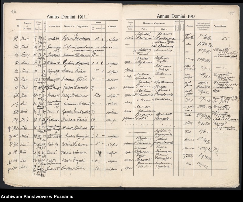 Obraz 11 z jednostki "Indeks zgonów"