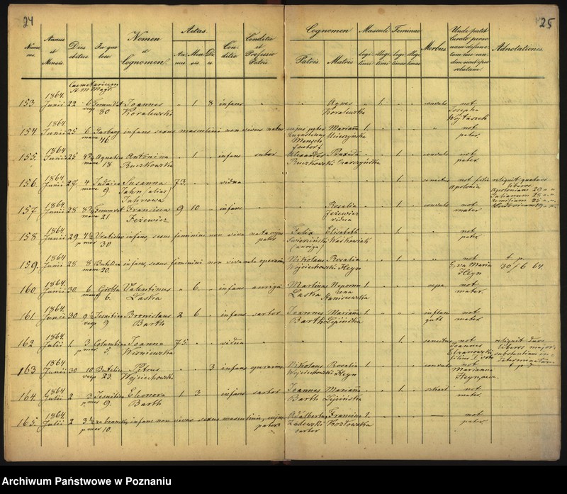 Obraz 15 z jednostki "Księga zgonów"