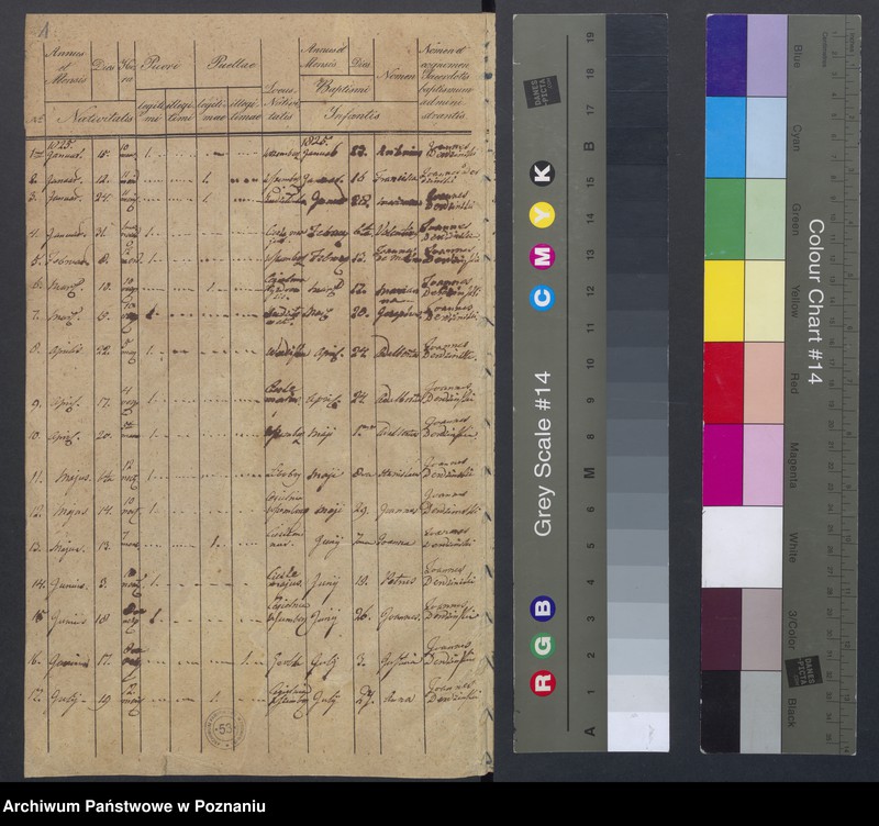 Obraz 3 z jednostki "Duplikat Natorum, Copulatorum, Mortuorum."