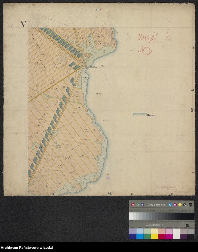 Obraz 5 z jednostki "Plan folwarku i nowej kolonii Popielawy na fundusz Towarzystwa Kredytowego Ziemskiego przy donacji Łaznów przeznaczonych ..."
