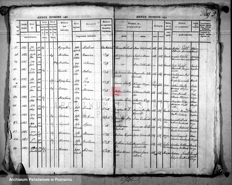 image.from.unit.number "Duplikat baptisatorum, copulatorum u. mortuorum"