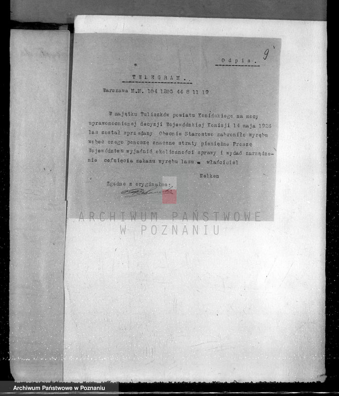 Obraz 12 z jednostki "Las miasta Tuliszkowo powiat koniński"