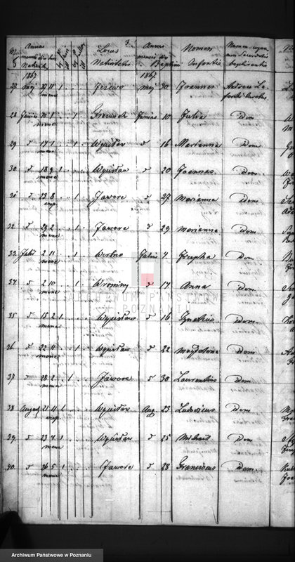 Obraz 8 z jednostki "Duplikat baptisatorum, copulatorum, mortuorum"