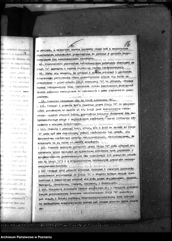 Obraz 19 z jednostki "Sprawy ogólne Wykazy chorób zaraźliwych,- księgosusz -"