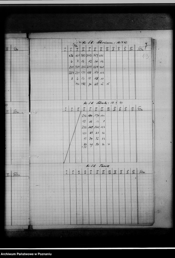 Obraz 17 z jednostki "Leistungsberichte der Kreissippenämter. Statistik"