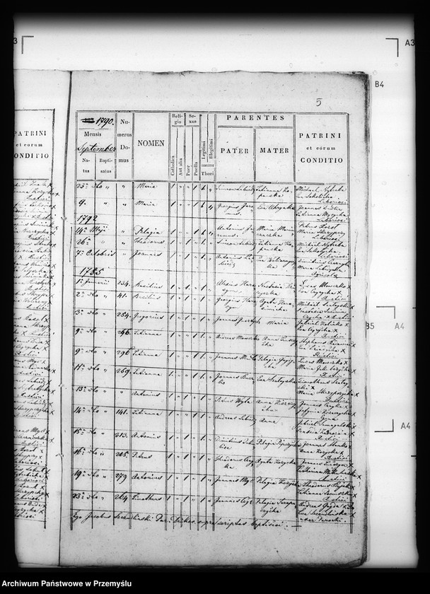 image.from.unit.number "[Kopie ksiąg metrykalnych parafii Dzików Stary (dekanat Cieszanów)]"