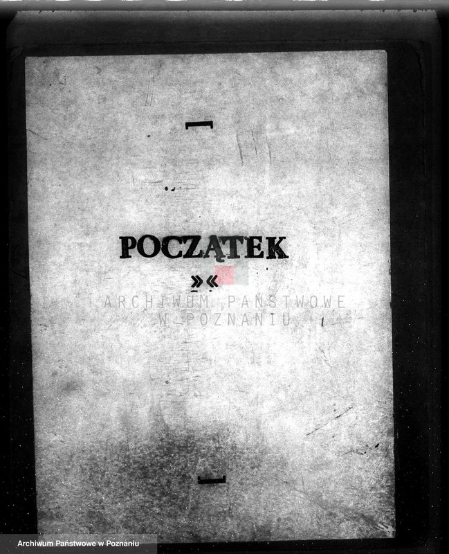 Obraz 3 z jednostki "Majętność /leśna/ Wilkowo Polskie powiat kościański"